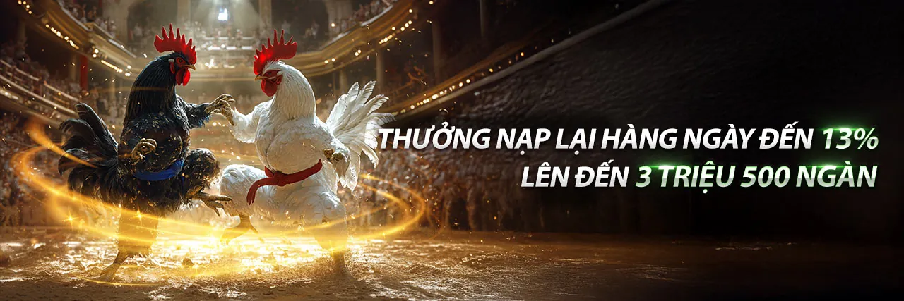 Khuyến mãi 8bet 2026 và ưu đãi độc quyền